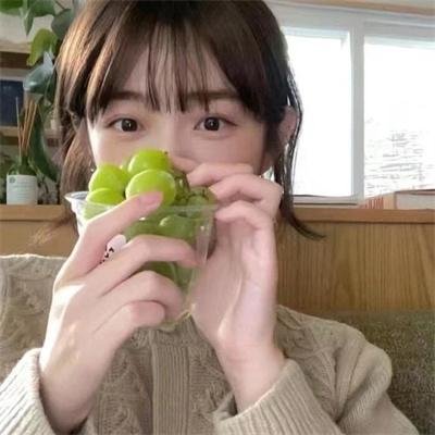 延安游击队